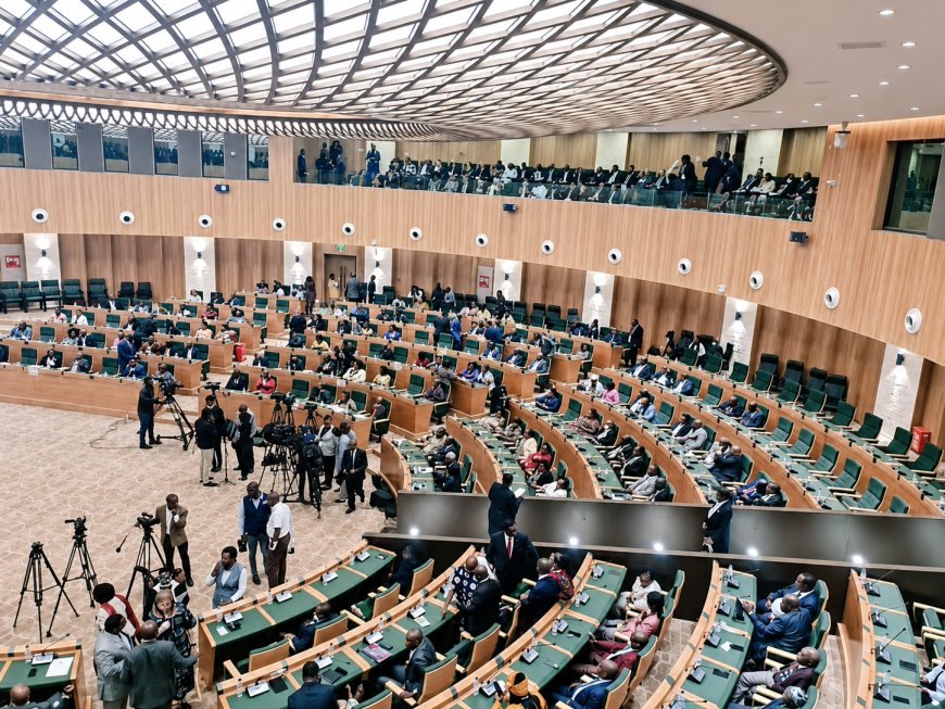 CAB3 Undermines President’s Obligation to Citizens, Democracy Has No Price Tag — Hon. Kuka