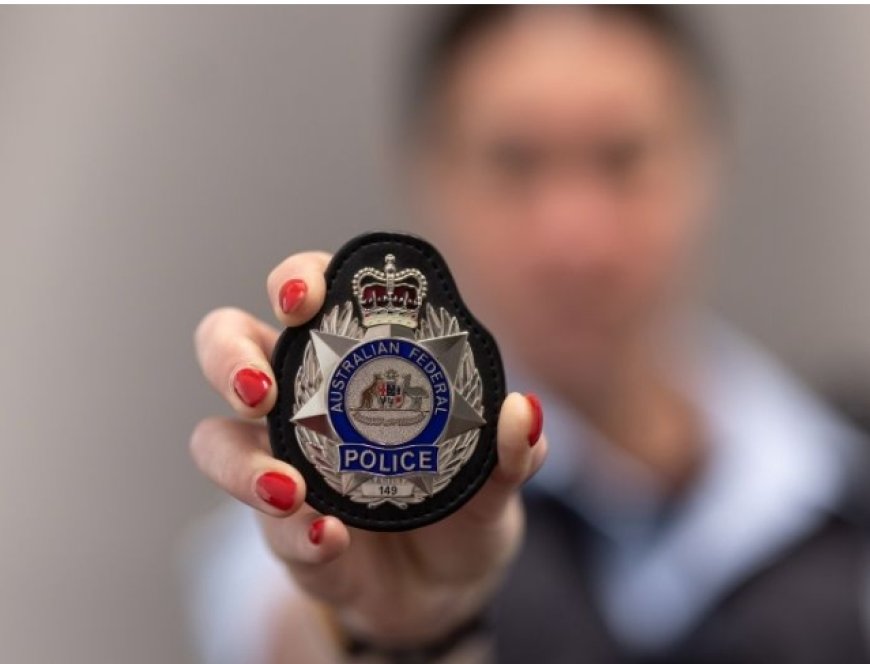Aussie Police Europol Joint Operation Dismantles US$353 million Money Laundering Ring