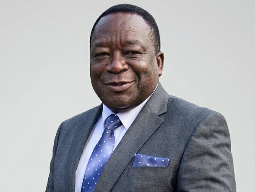 Matemadanda's Death Further Thins 2017 Political Transition Key Figures
