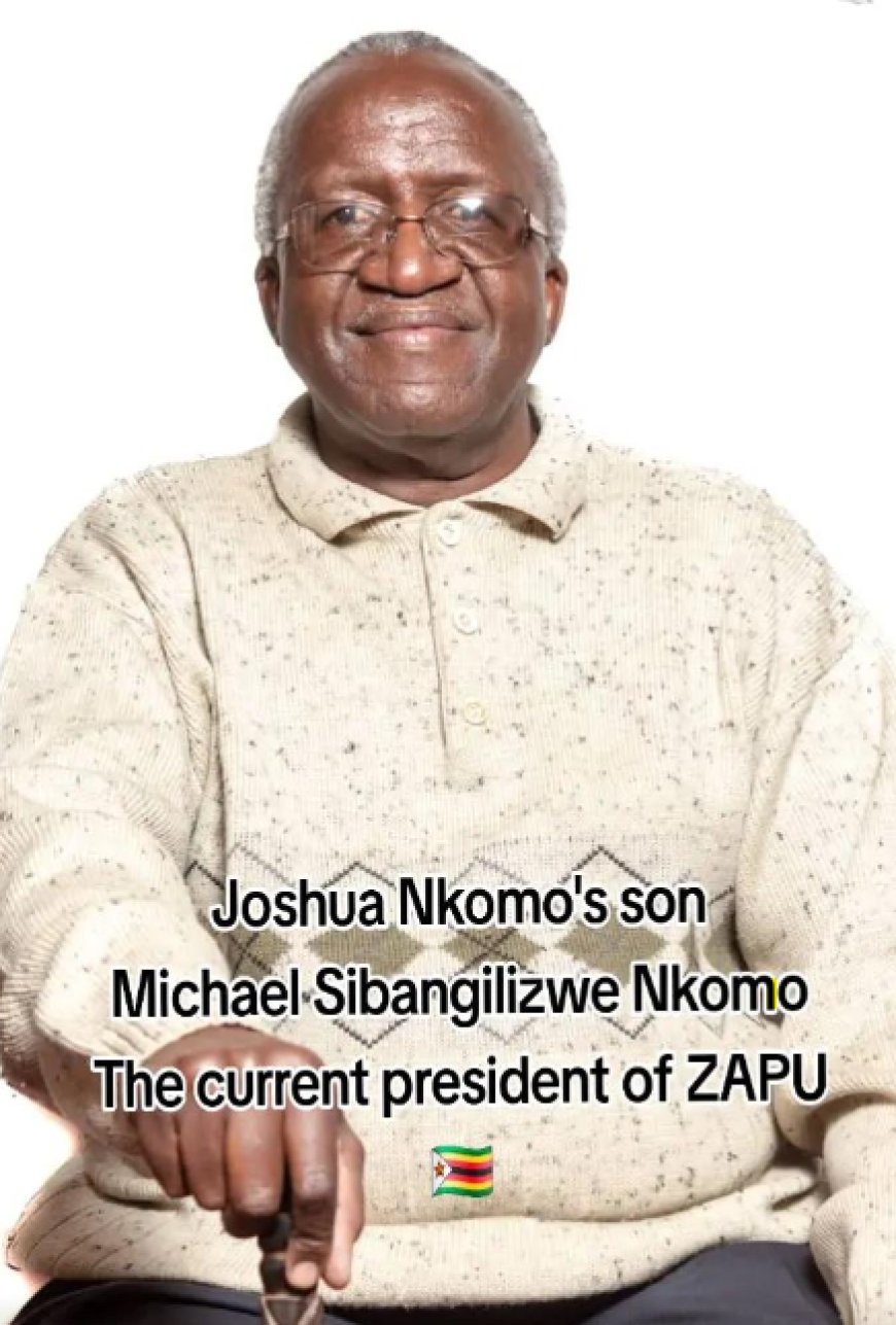 Nkomo's Son Blasts Ziyambi Over Gukurahundi Remarks