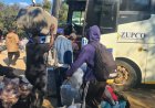 Hundreds Return Home from South Africa as Zimbabwe Intensifies State-Funded Repatriation