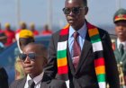 Mugodhi Elected Zimbabwe's Child President