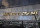 Zimbabwe Introduces RBZ Child Governor
