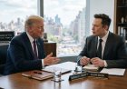 Former Intelligence Analyst Warns US Faces Risk of Authoritarianism