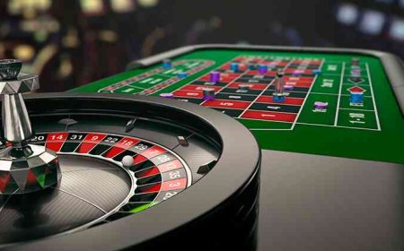 Australia Records AU$104 Billion Gambling Loss as Albanese Government Limits Ad Ban