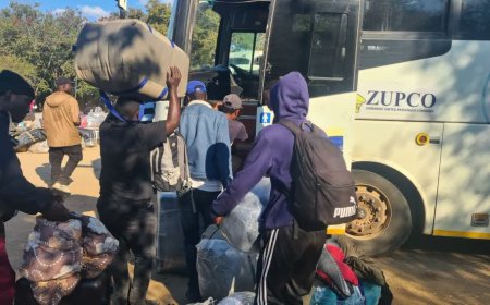 Hundreds Return Home from South Africa as Zimbabwe Intensifies State-Funded Repatriation