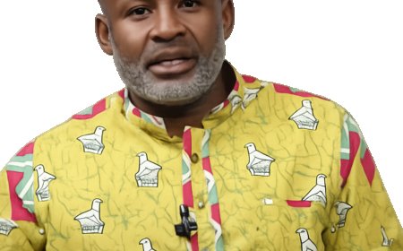 Mliswa Files Criminal Charges Against Matinyarare