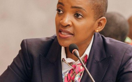 Zimbabwe Launches Tourism Investment Drive in Australia to Unlock Diaspora Capital