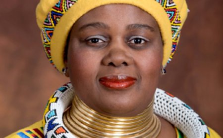 South Africa Prepared to Introduce Priority Courts for Violence Against Illegal Migrants