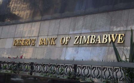 Zimbabwe Introduces RBZ Child Governor