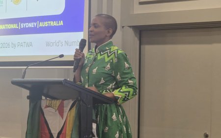 Diaspora Investors Press Zimbabwe on Trust, Investment Protection and Business Costs