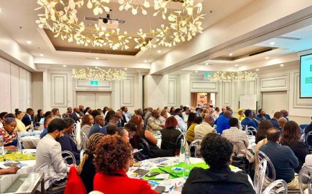 Zimbabwe Assures Diaspora Investors on Capital Repatriation, Property Rights and Investment Protection