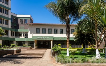Auditor Exposes Missing Millions, Schools Financial Records and Billions in Gweru City Assets