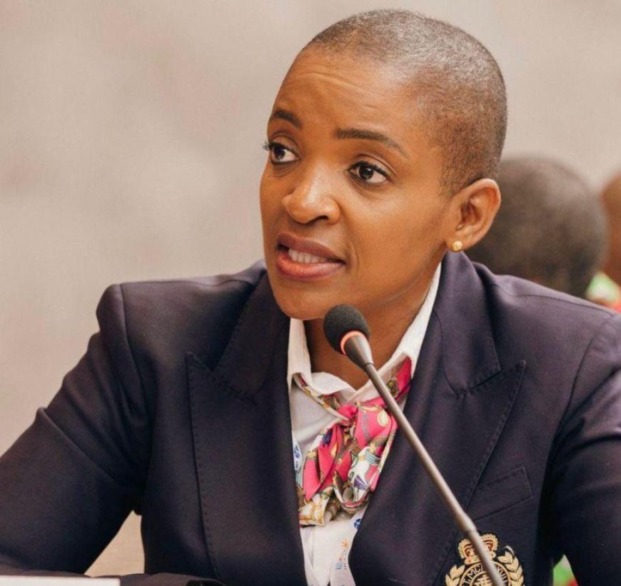 Zimbabwe Launches Tourism Investment Drive in Australia to Unlock Diaspora Capital