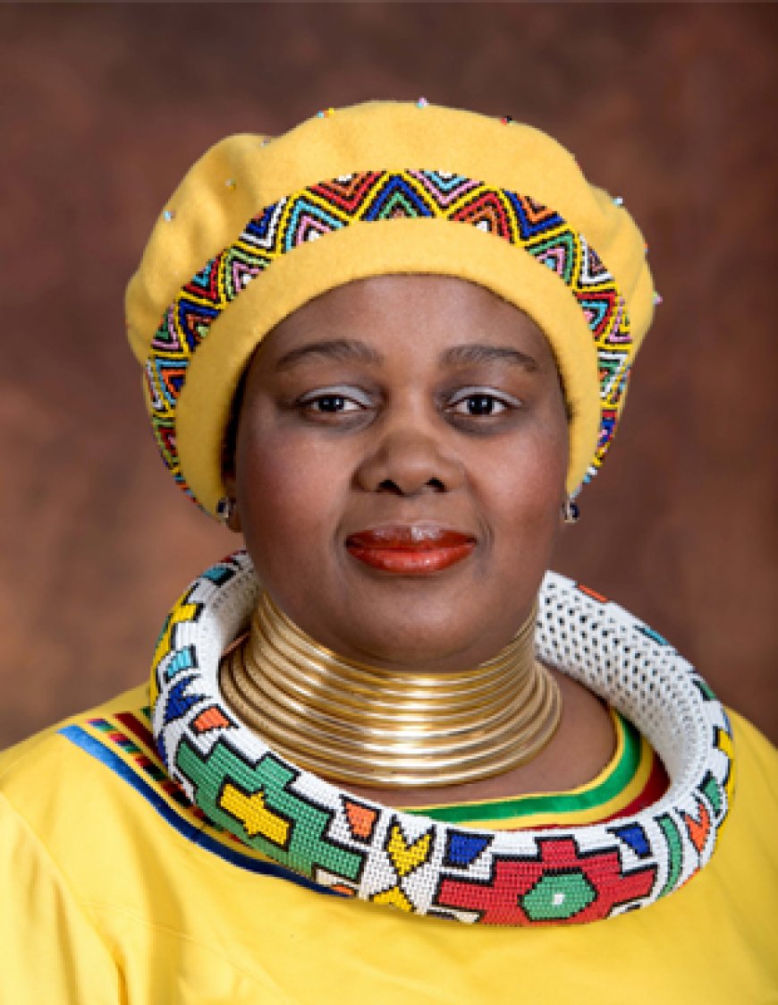 South Africa Prepared to Introduce Priority Courts for Violence Against Illegal Migrants