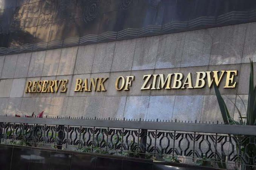 Zimbabwe Introduces RBZ Child Governor