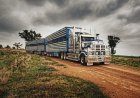 Livestock and Rural Transporters Demands Fuel Relief Extension as Regional Diesel Prices Surge