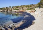 Greenpeace Warns of ‘Catastrophic’ Oil Spill Risk From Woodside’s Scott Reef Drilling Plans