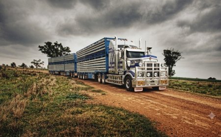 Livestock and Rural Transporters Demands Fuel Relief Extension as Regional Diesel Prices Surge