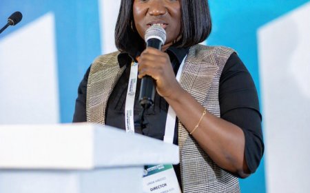 Investor Confidence Grows as SAEIS 2026 Turns Sustainable Infrastructure Ideas into Bankable Projects