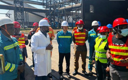 Dinson Iron and Steel Company Targets 70MW Power Generation as Steel Expansion Gathers Pace