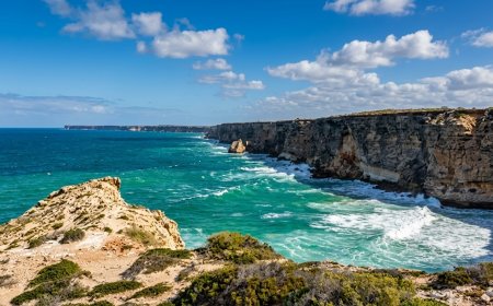Bipartisan Consensus Emerges Over Australia Ocean Conservation Review