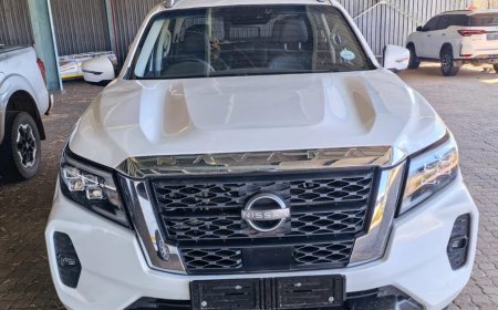 Suspects Flee Into Zimbabwe After Gunfire in Stolen Navara Chase