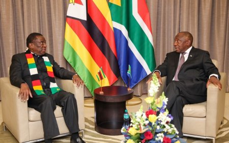 Ramaphosa Calls for Deeper South Africa-Zimbabwe Economic Cooperation