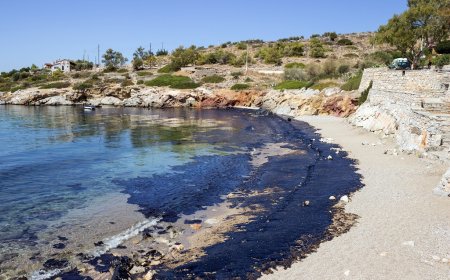Greenpeace Warns of ‘Catastrophic’ Oil Spill Risk From Woodside’s Scott Reef Drilling Plans