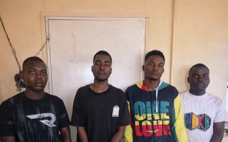 Harare Carjacking Syndicate Busted After Crash, Lost Phone Leads Police to Suspects