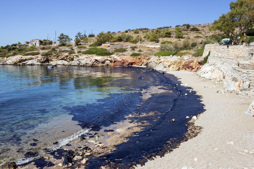 Greenpeace Warns of ‘Catastrophic’ Oil Spill Risk From Woodside’s Scott Reef Drilling Plans