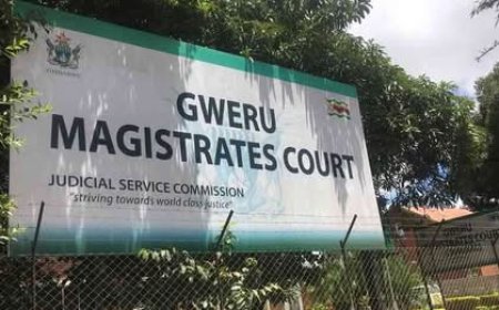 South African Returnee Jailed 20 Years for Raping Nine-Year-Old