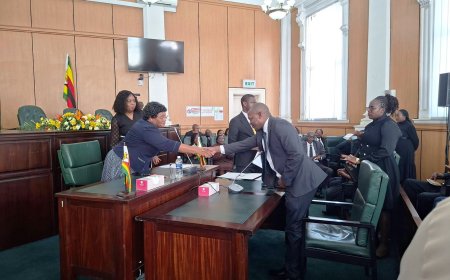  From Mhondoro to the High Court: The Making of Justice Justin Uladi