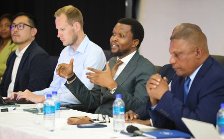 ZIFA Launches VAR Project With FIFA Experts