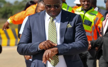 Geo Pomona Is Not A Scandal, It Is A Blessing: A Rebuttal To Lance Guma’s Distorted Tale