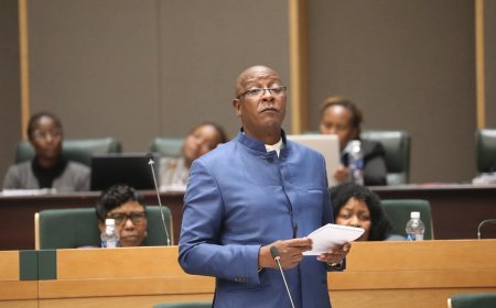 Ziyambi Blames Opposition Councils for Garwe Informal Traders Crackdown