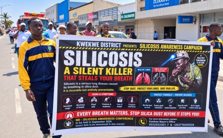 Kwekwe Silicosis Deaths Expose a Mining Health Crisis