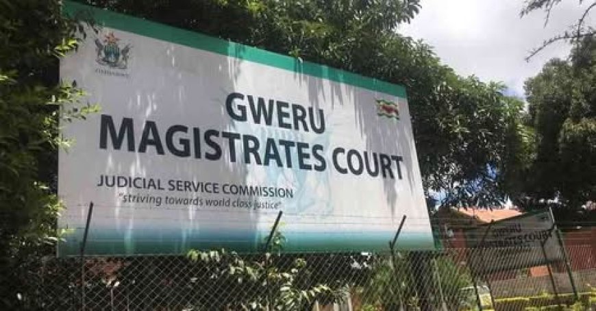 South African Returnee Jailed 20 Years for Raping Nine-Year-Old