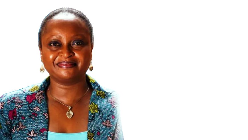 Zimbabwean Moyo takes charge of IFC private-sector portfolio across six African markets