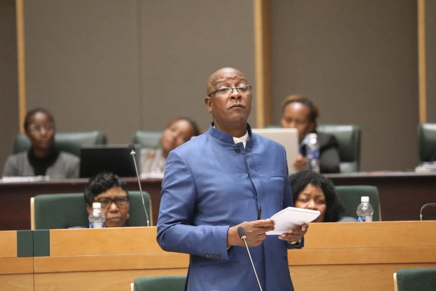 Ziyambi Blames Opposition Councils for Garwe Informal Traders Crackdown