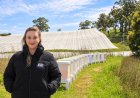 Adelaide Hills Mum Builds 1,000-Hive Network to Protect Australian Food Supply