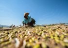 World Bank Warns Zimbabwe Poverty Remains High Despite Economic Growth