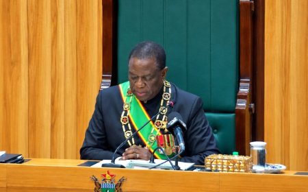 Zimbabwe Targets US$20b Foreign Currency Inflows in 2026