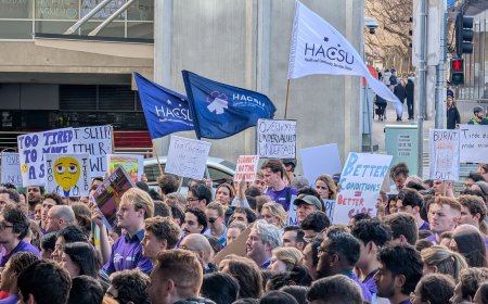 Victoria Doctors Strike Over Fatigue and Patient Safety