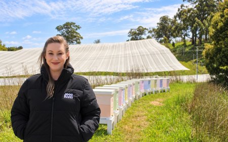 Adelaide Hills Mum Builds 1,000-Hive Network to Protect Australian Food Supply