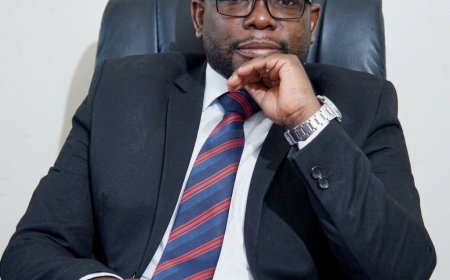 Ex-PAC Chair Calls for Uganda-Style Accountability in Zimbabwe
