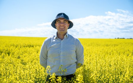 Australia Winter Crop Forecast Falls to 62.9 Million Tonnes as Regional Divide Widens