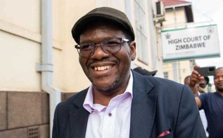 Tshabangu Faction Disowns Purported Recalls of Coltart and Others as Unauthorised