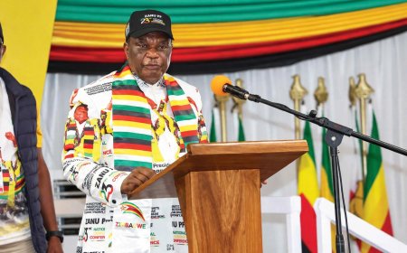 Chiwenga Warns ZANU PF Against Imposed Leadership Changes, Repeating Past Mistakes