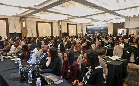 Zimbabwe Targets Diaspora Capital in Housing and Infrastructure Push